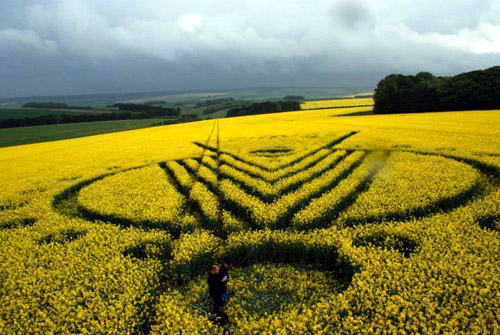 yarnbury2010a.jpg