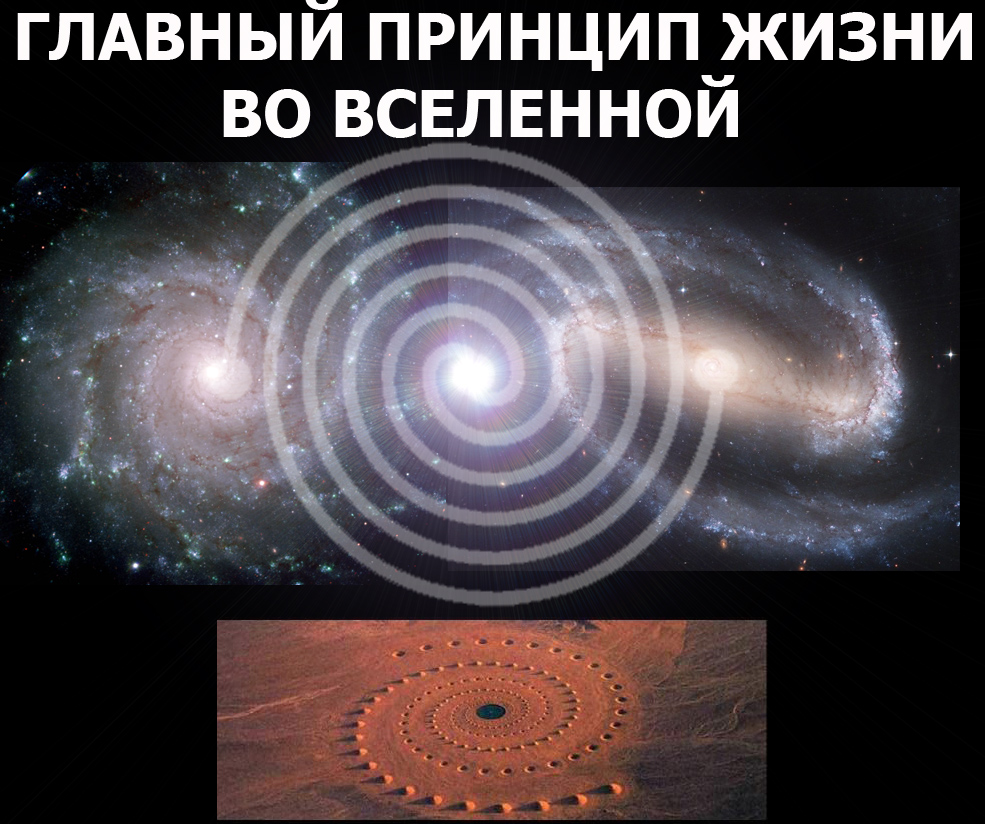 ГЛАВНЫЙ ПРИНЦИП.jpg