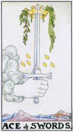 5.gif