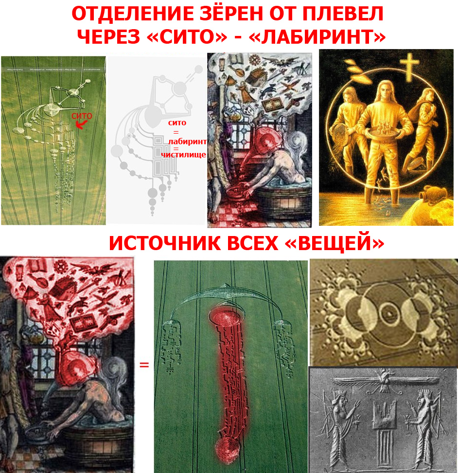 Зёрна от плевел.jpg