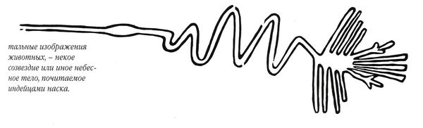 nazca04.jpg