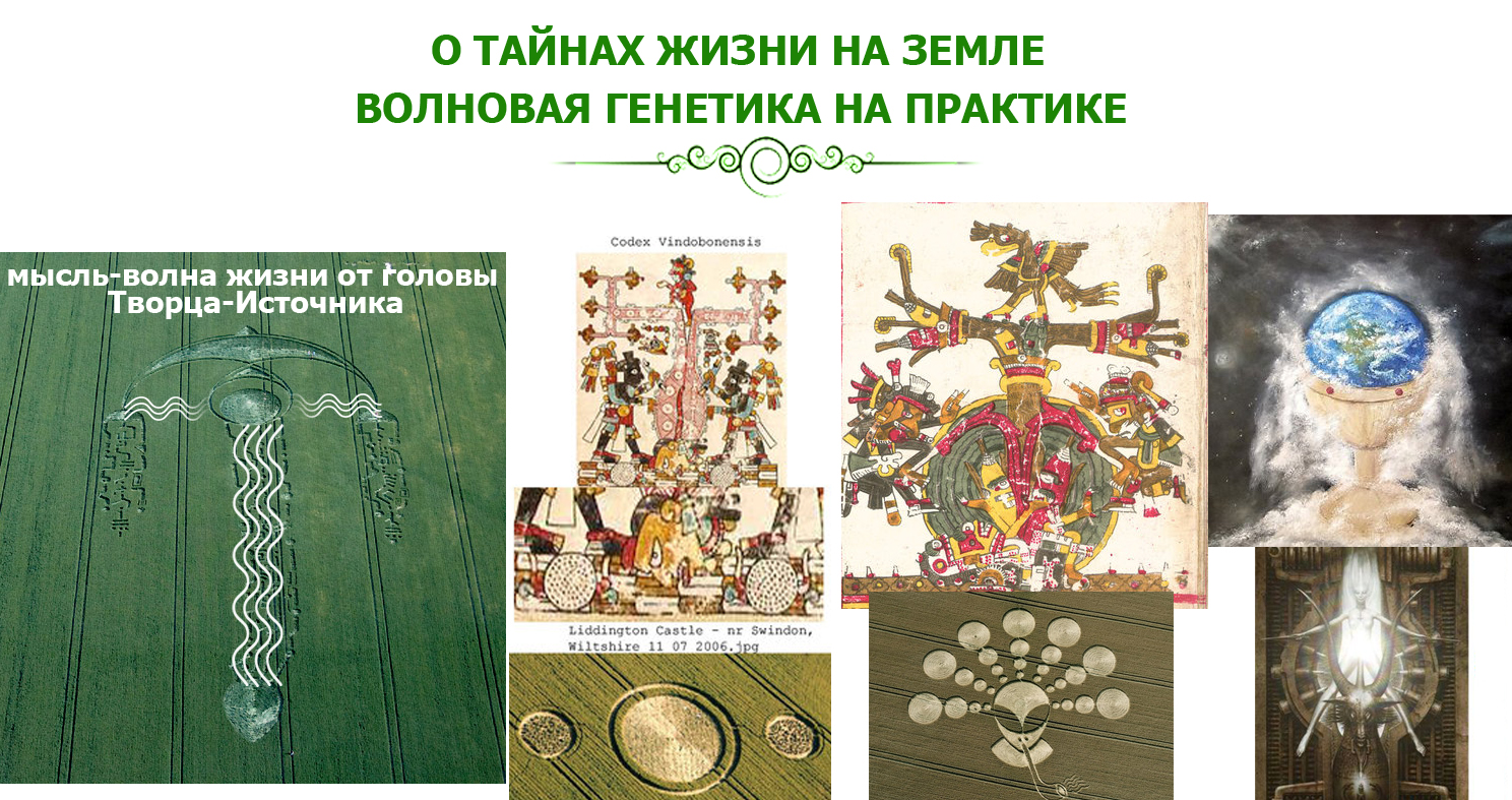 ВОЛНОВАЯ ГЕНЕТИКА.jpg