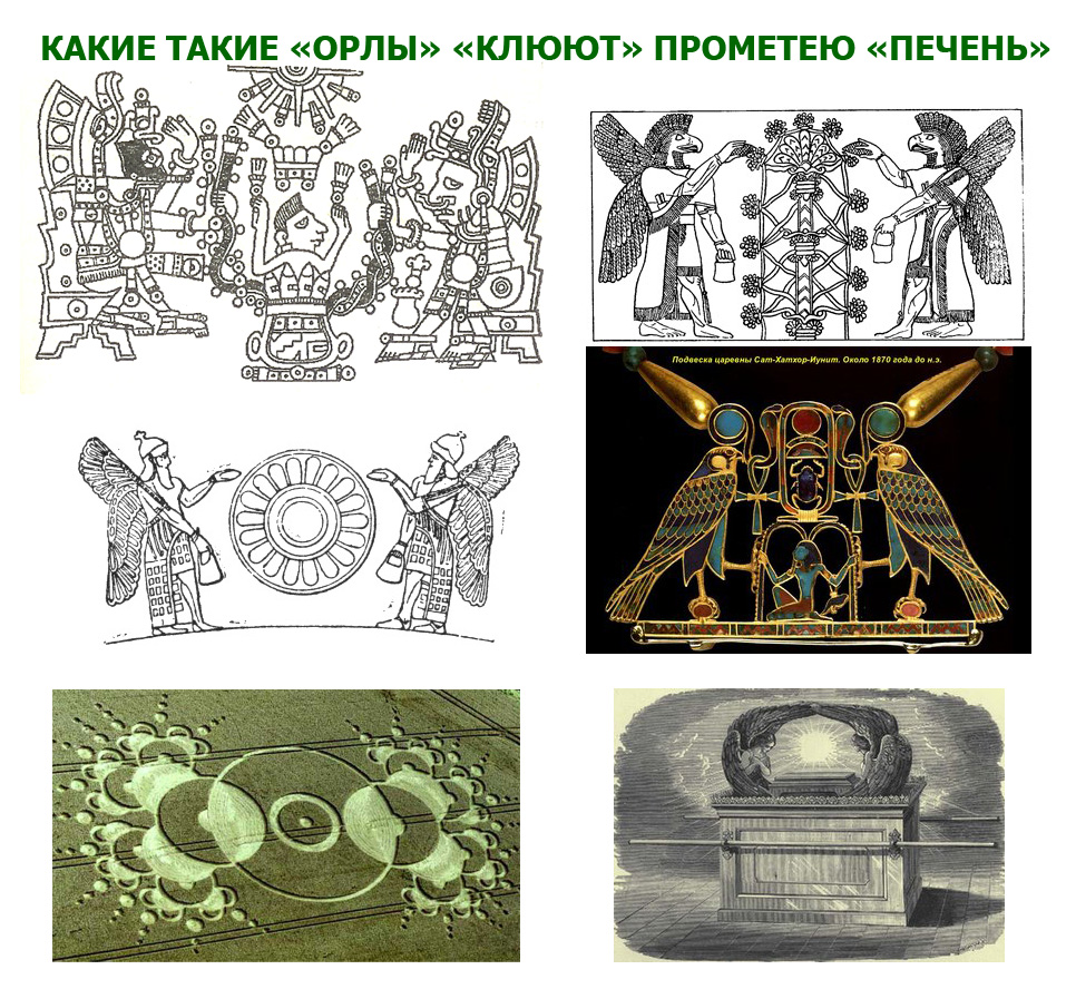 О ОРЛАХ И ПРОМЕТЕЕВОЙ ПЕЧЕНИ.jpg