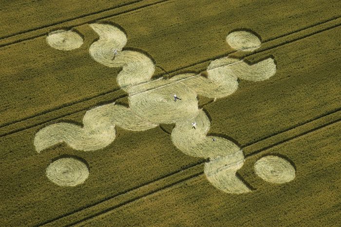 crop_circles_26.jpg