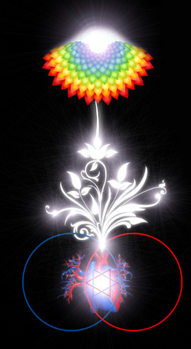 filename-dscf2550-jpg.jpg
