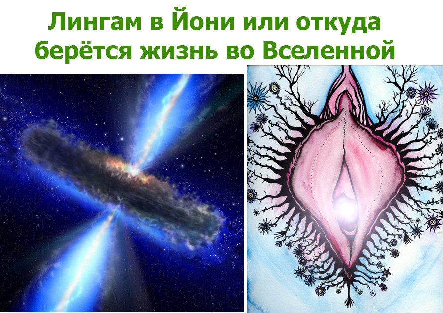 ОТКУДА БЕРЁТСЯ ЖИЗНЬ.jpg