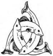 Trikvetra-closeup8.jpg