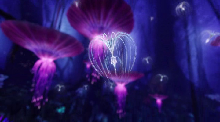 vlcsnap-2013-04-17-10h54m49s243.png