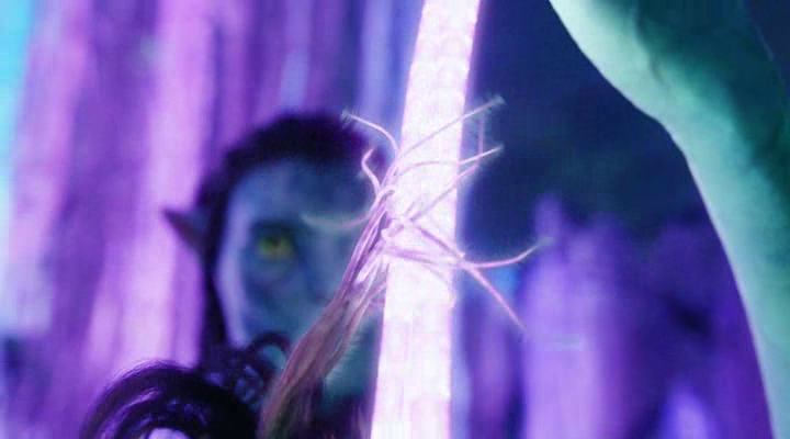 vlcsnap-2013-04-17-10h55m59s161.png