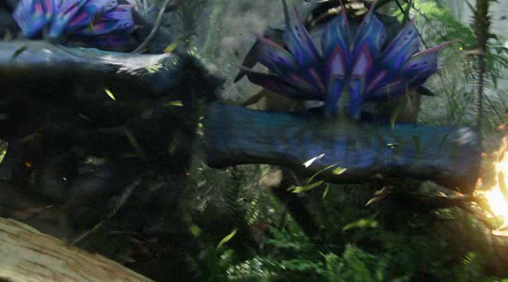 vlcsnap-2013-04-17-11h05m59s24.png