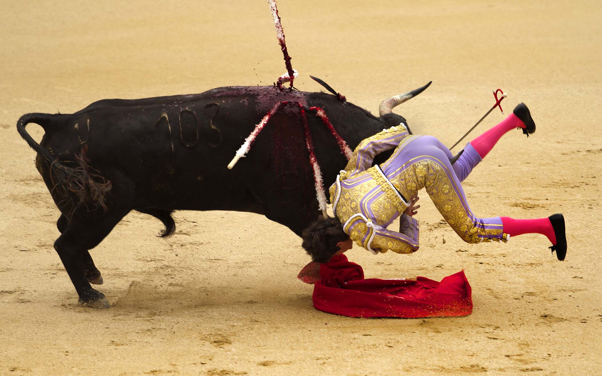 17bullfight.jpg