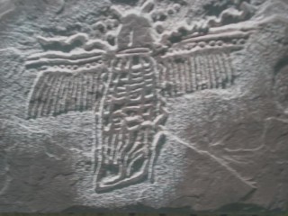 s320x240.jpg