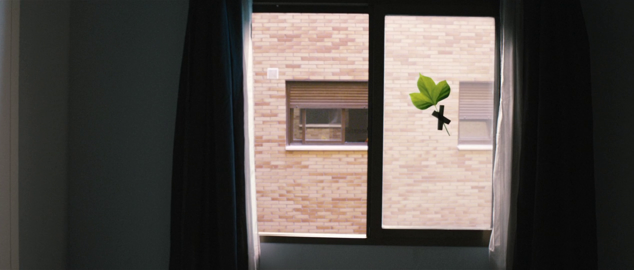vlcsnap-2013-05-28-17h50m16s239.png