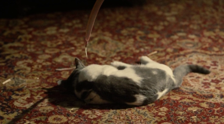 vlcsnap-2013-06-05-07h30m17s187.png