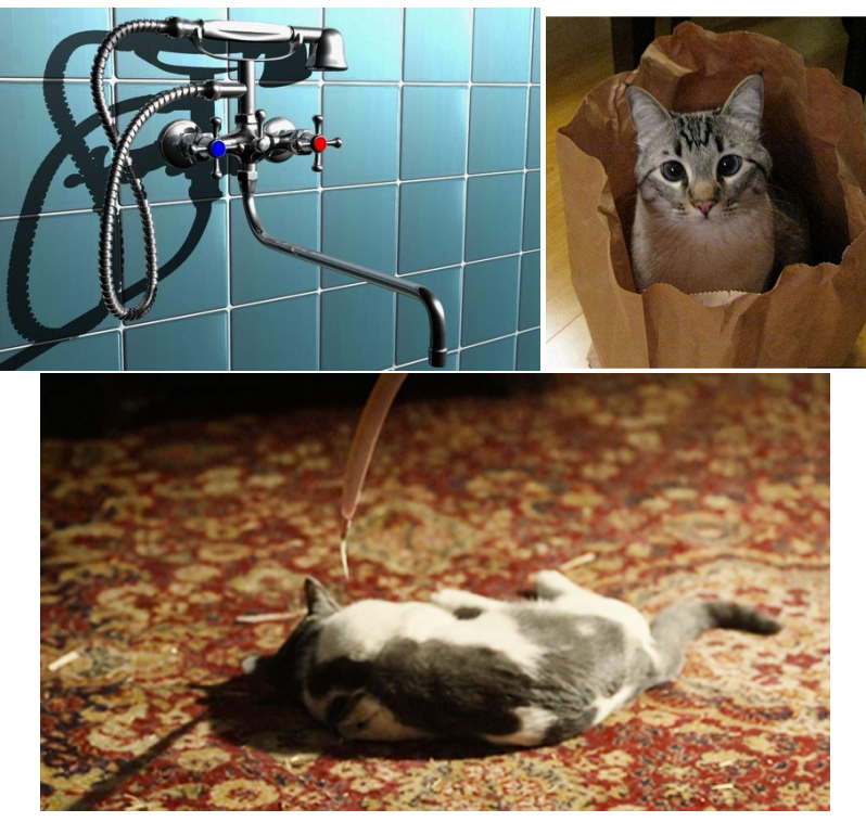 за кран и за кота.jpg