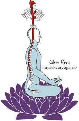 kundalini.jpg