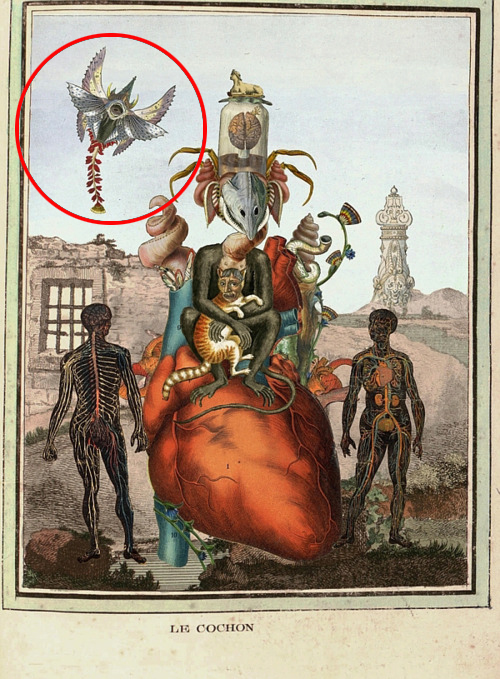 87.jpg