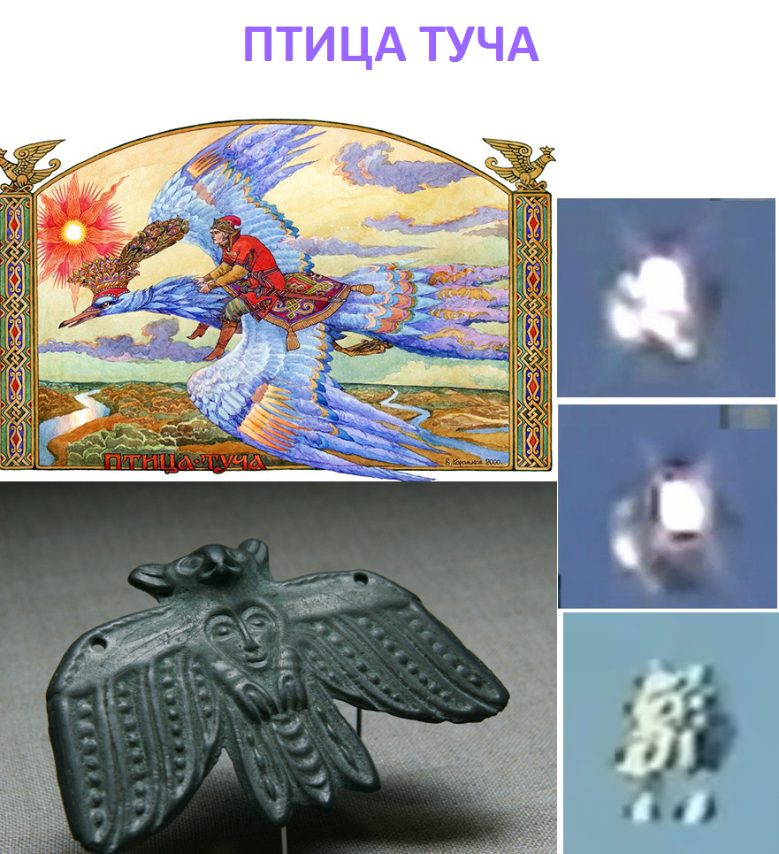 ПТИЦА ТУЧА.jpg