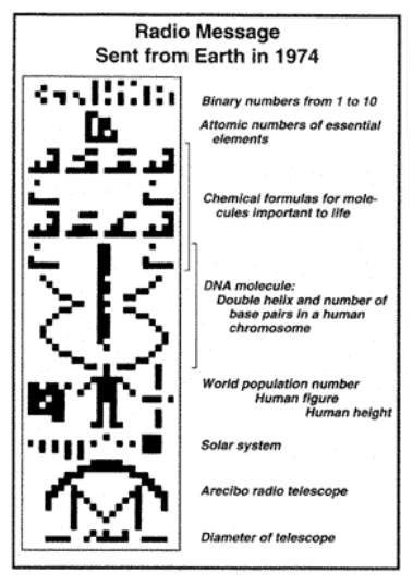 ris16.jpg