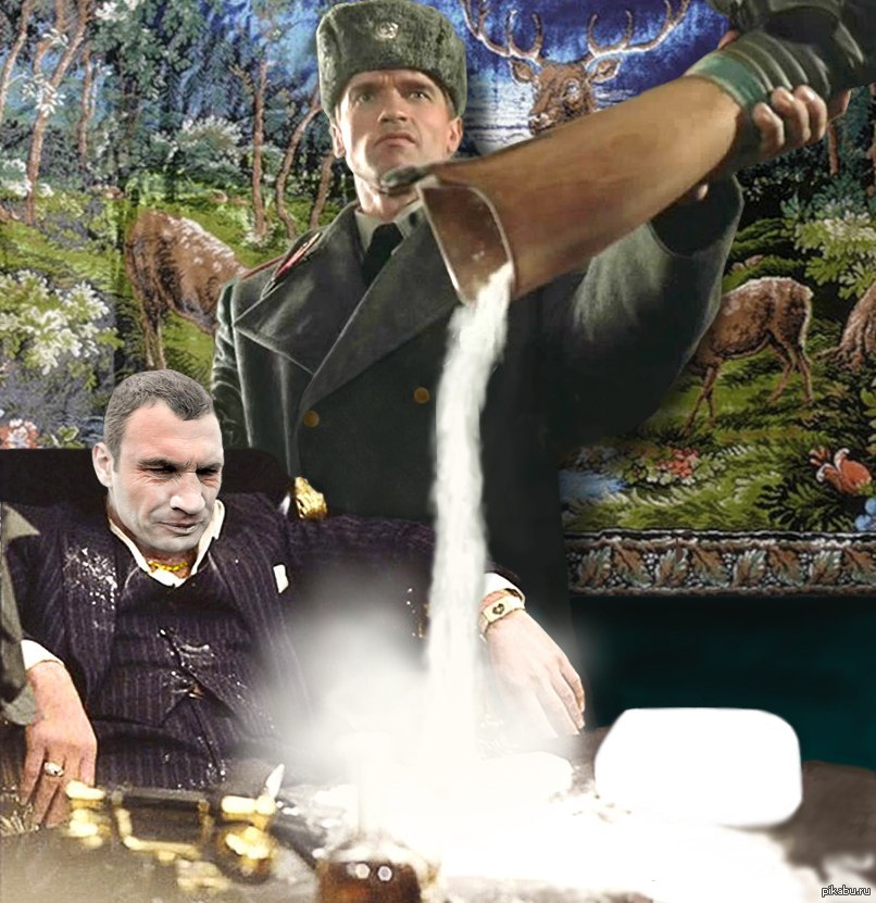 фотожаба-Евромайдан-шварценеггер-кличко-1040223.jpeg