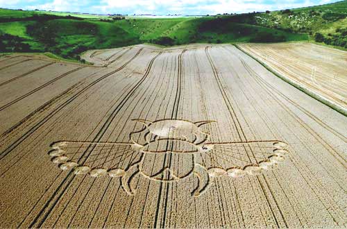 pict-2005-08-21-1.jpg
