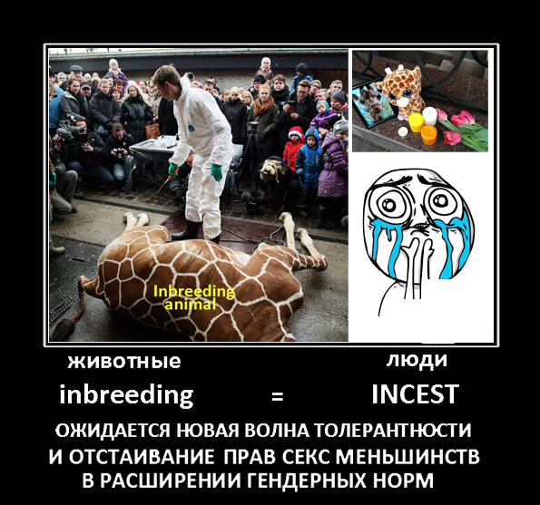 Гендерные нормы ЕС  - затравка.jpg