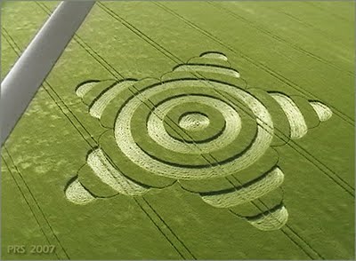 07-05-18-MorgansHillStar-crop-circle.jpg