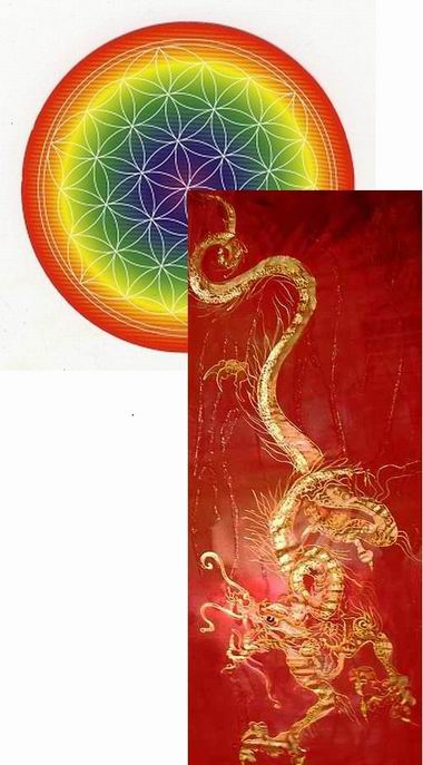 Resize of Dragon red.jpg