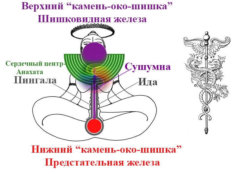 7a6084bbab27.jpg